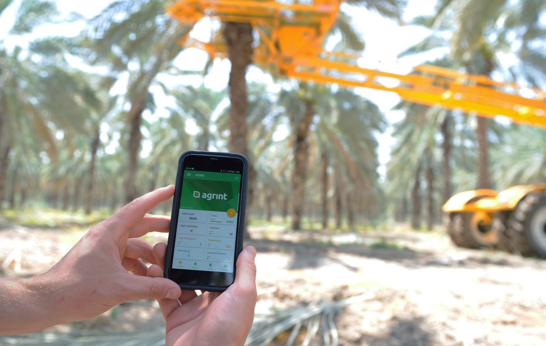 Field operator using IoTree monitoring app among date palms